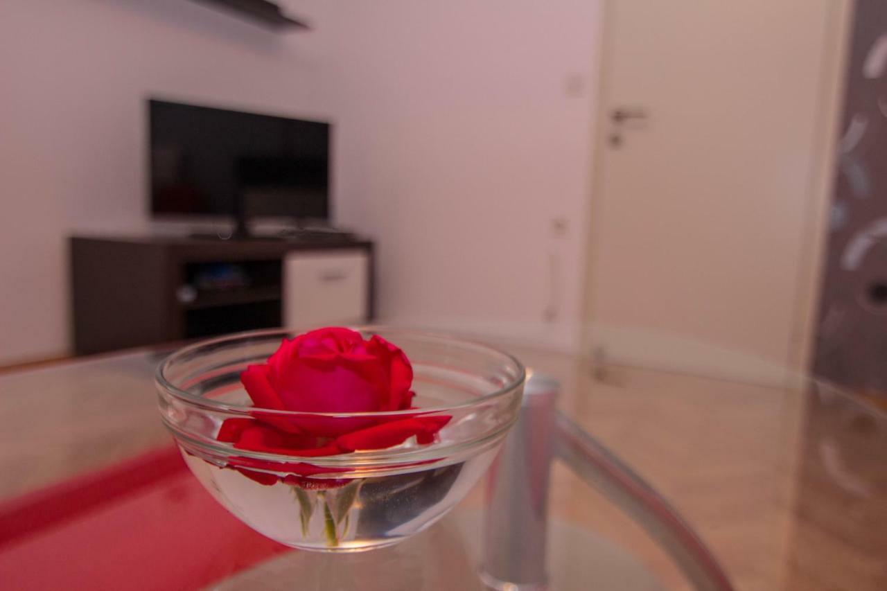 Guest House Ravnic Porec Ngoại thất bức ảnh
